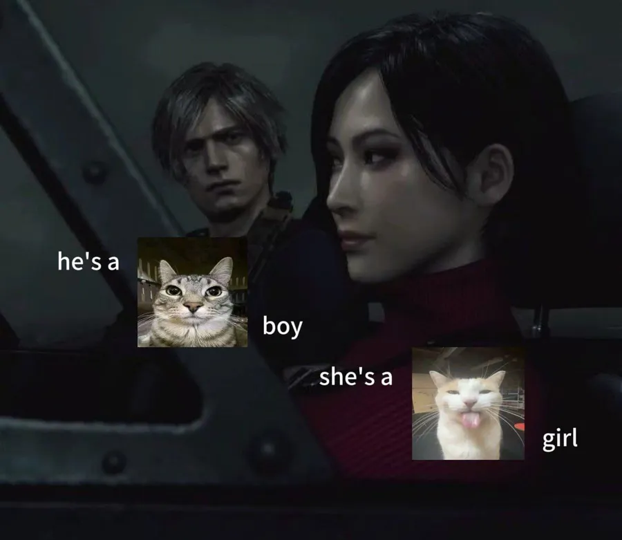 Untitled meme