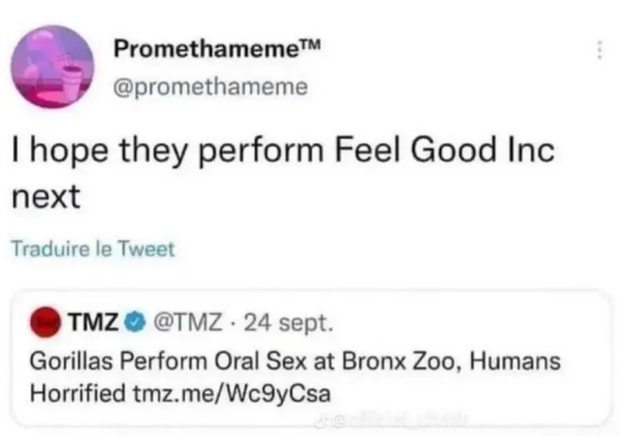Untitled meme
