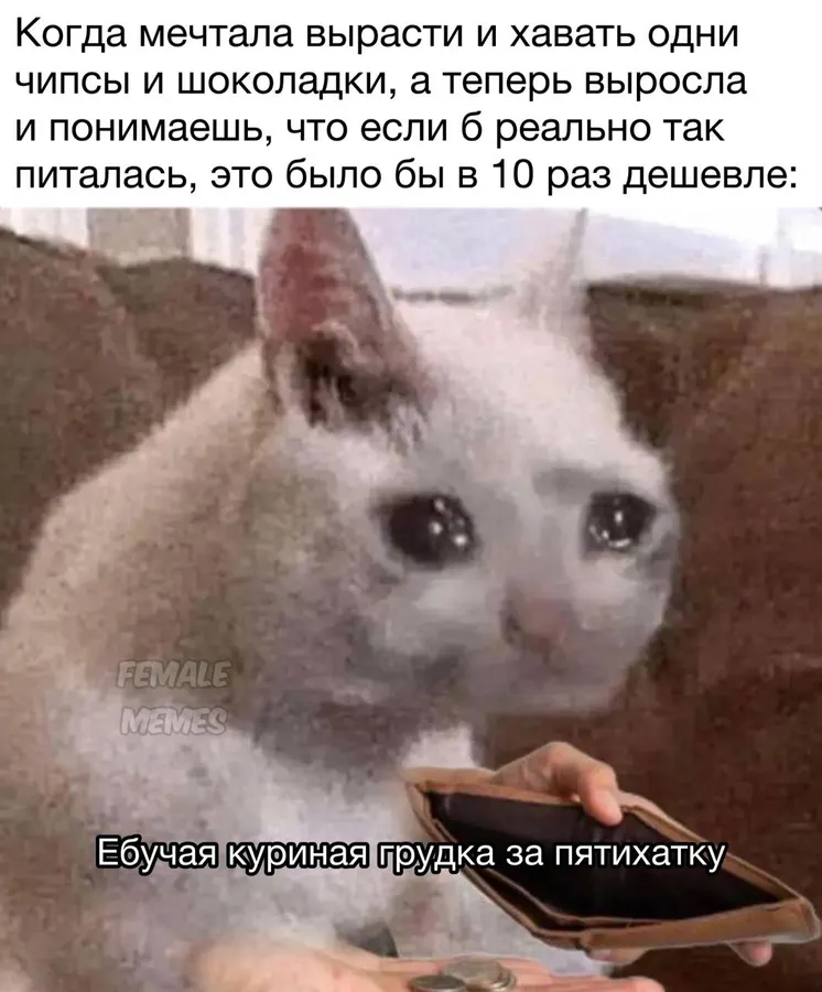 Untitled meme