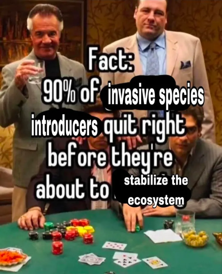 Untitled meme