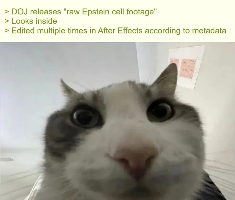 Untitled meme