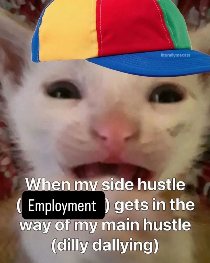 Untitled meme