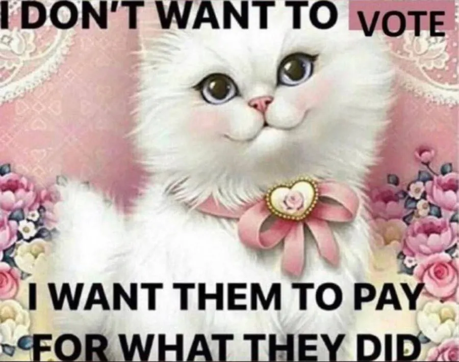 Untitled meme