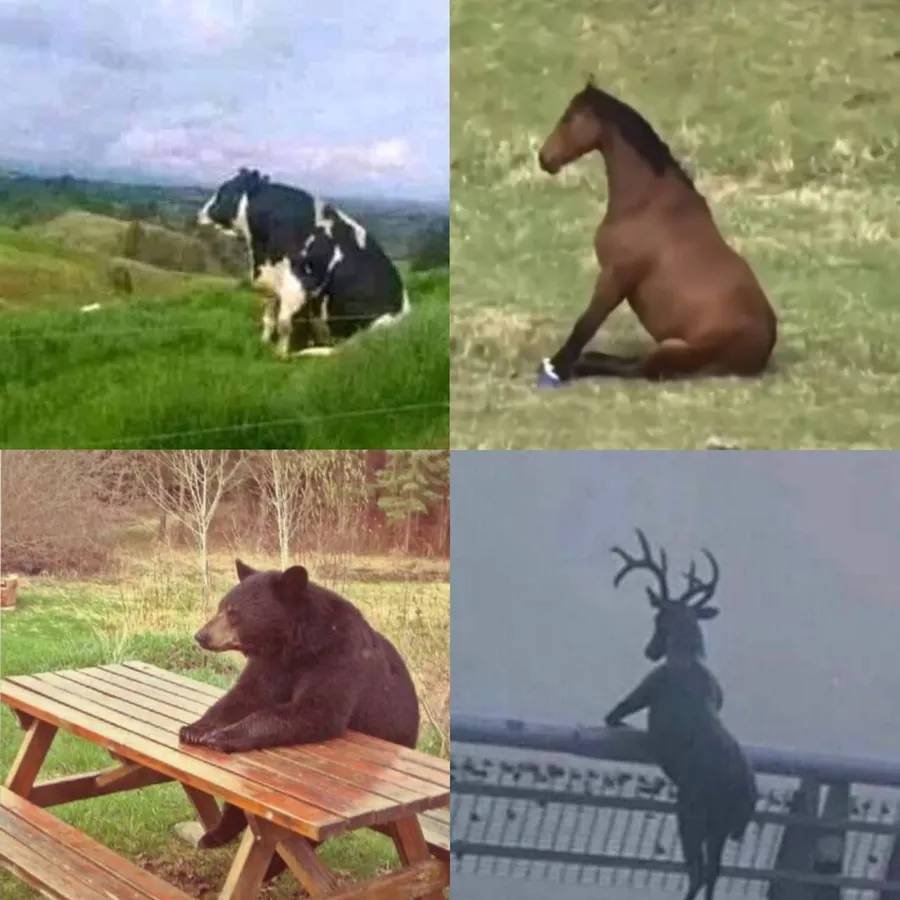 Untitled meme