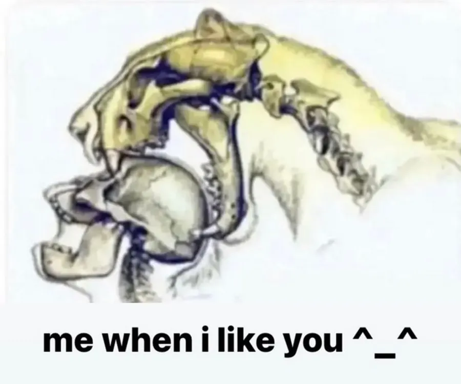 Untitled meme