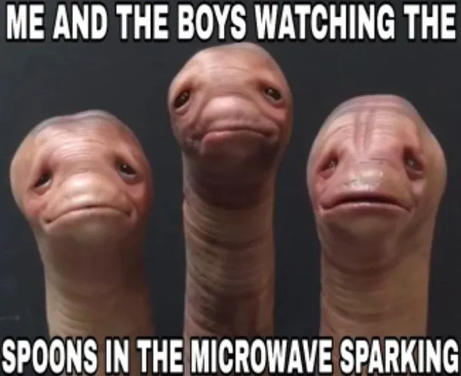 Untitled meme
