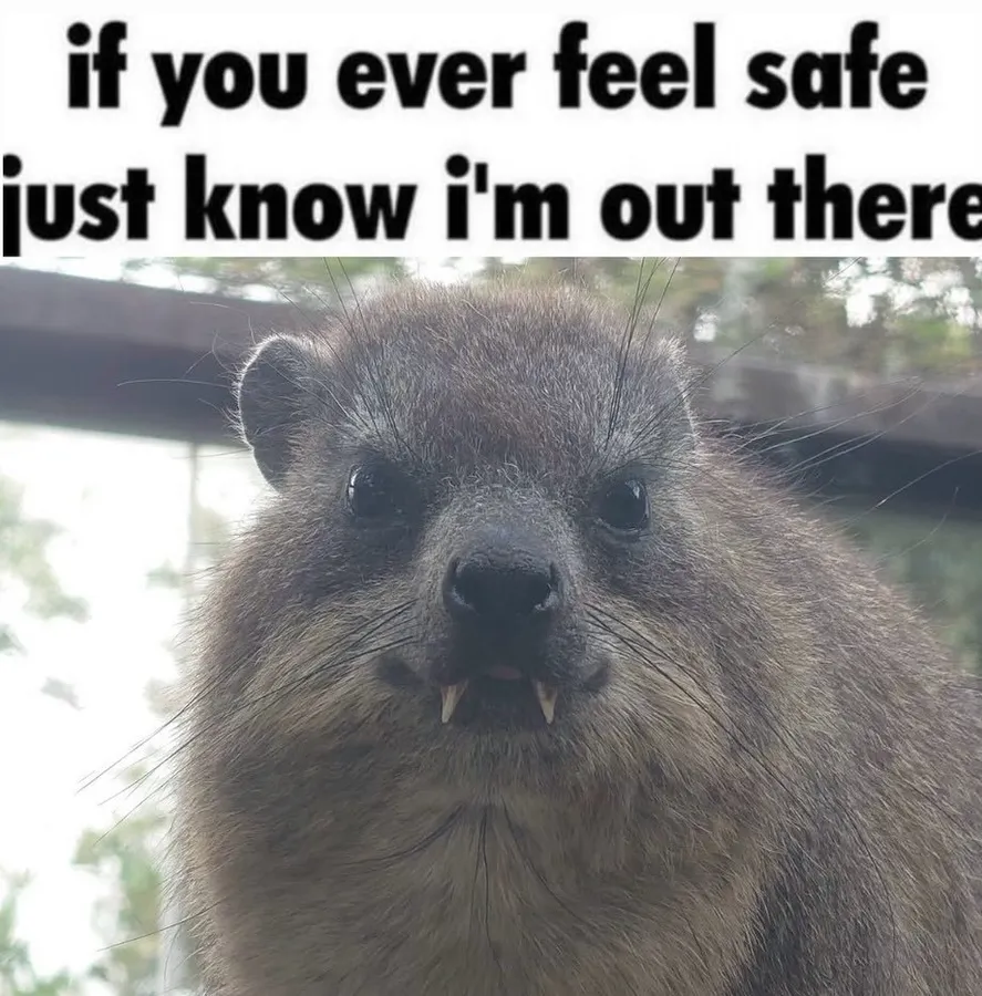 Untitled meme