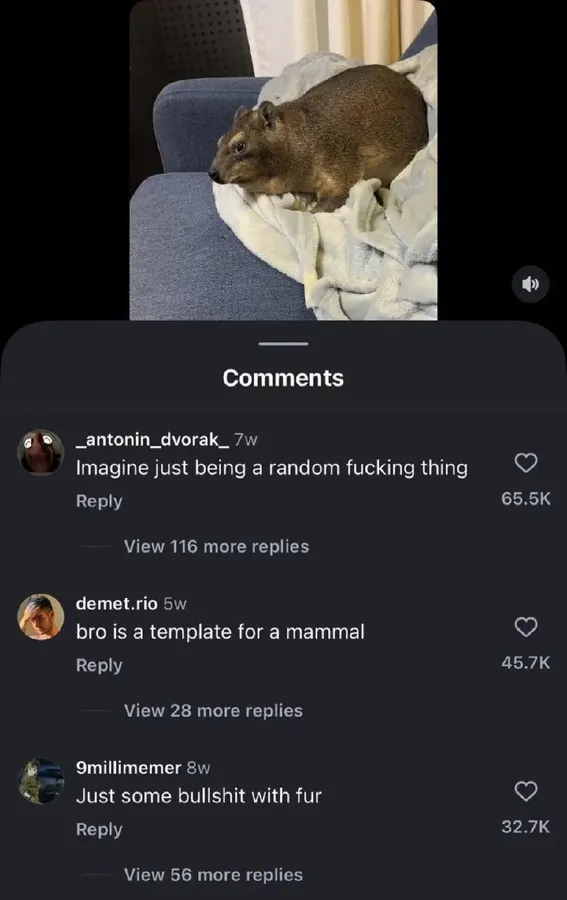 Untitled meme