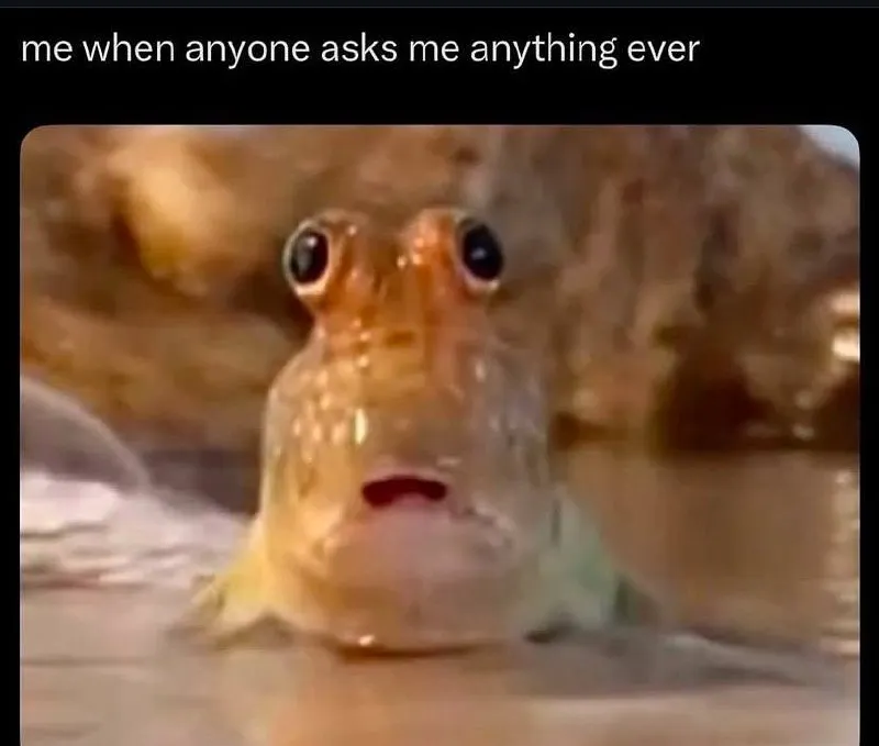 Untitled meme