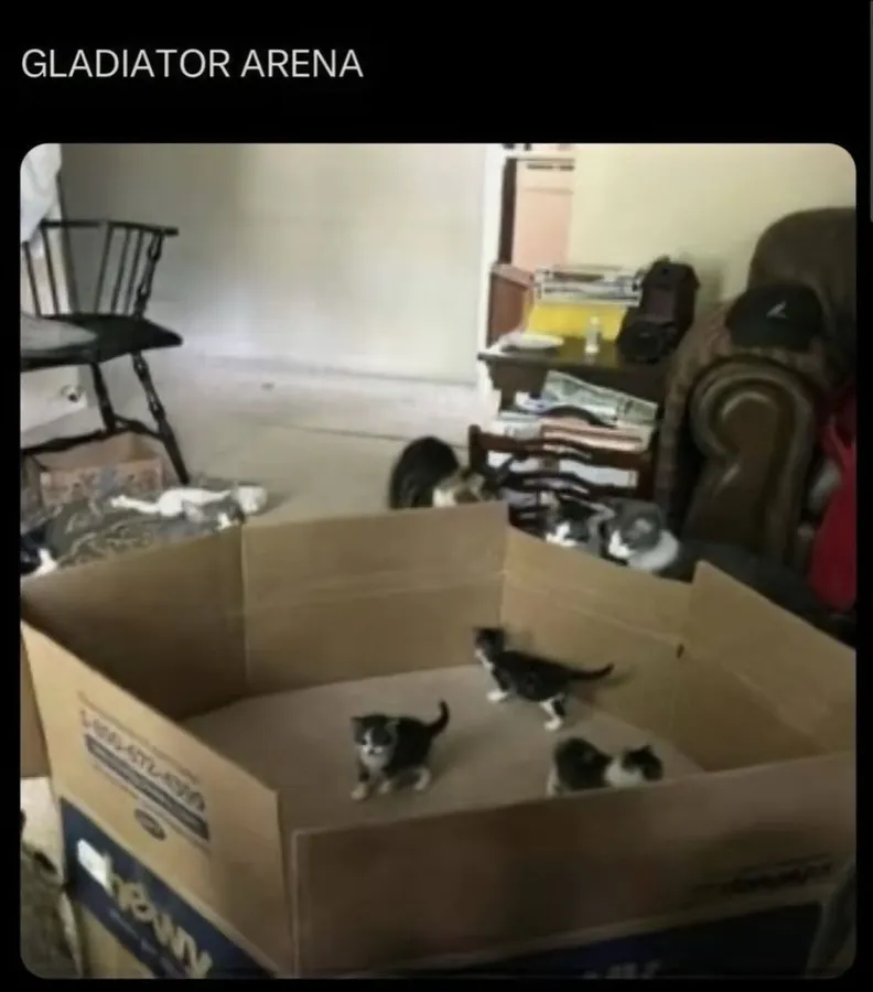 Untitled meme