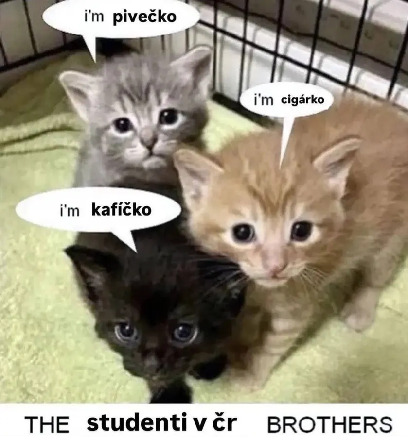 Untitled meme