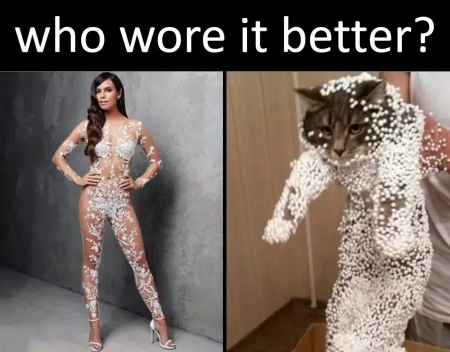 Untitled meme