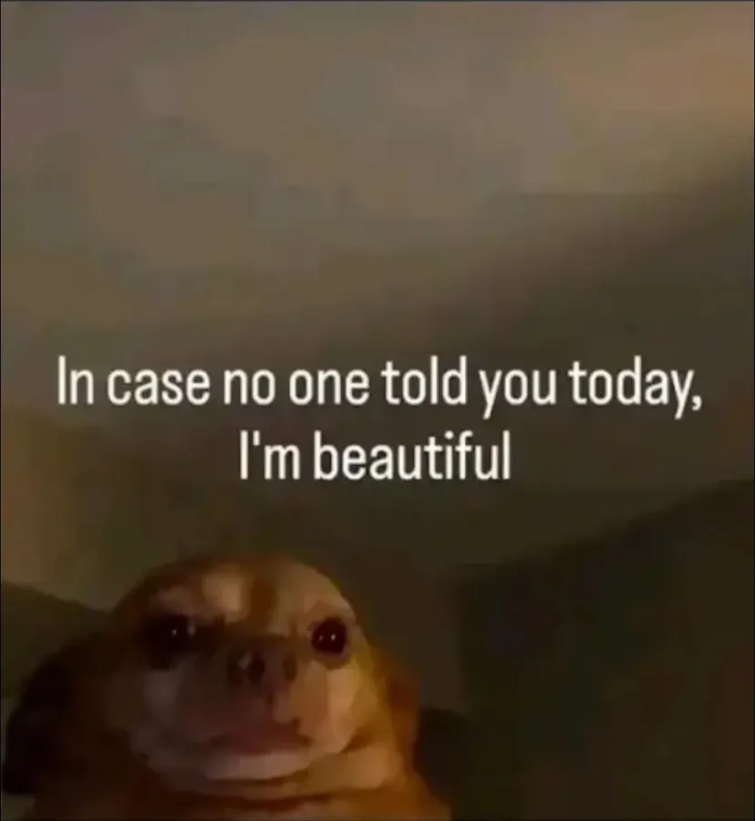 Untitled meme