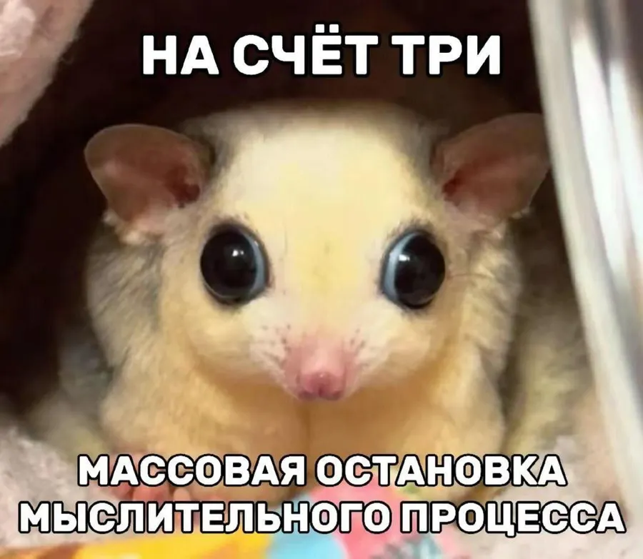 Untitled meme