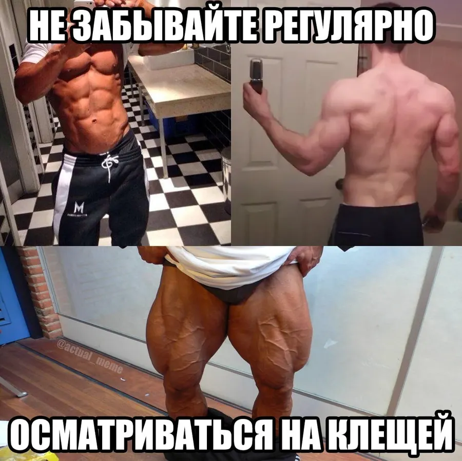 Untitled meme