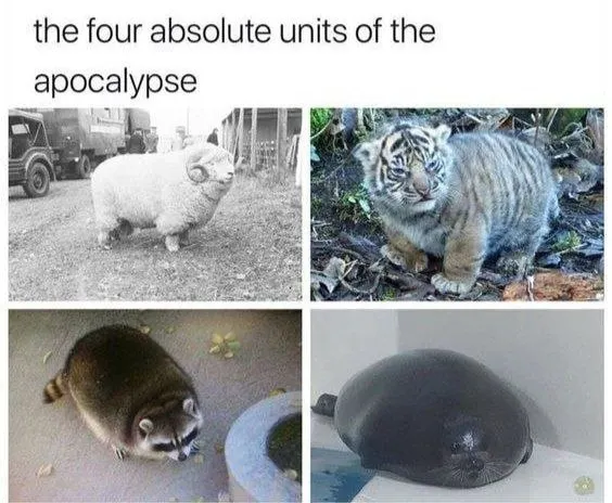Untitled meme