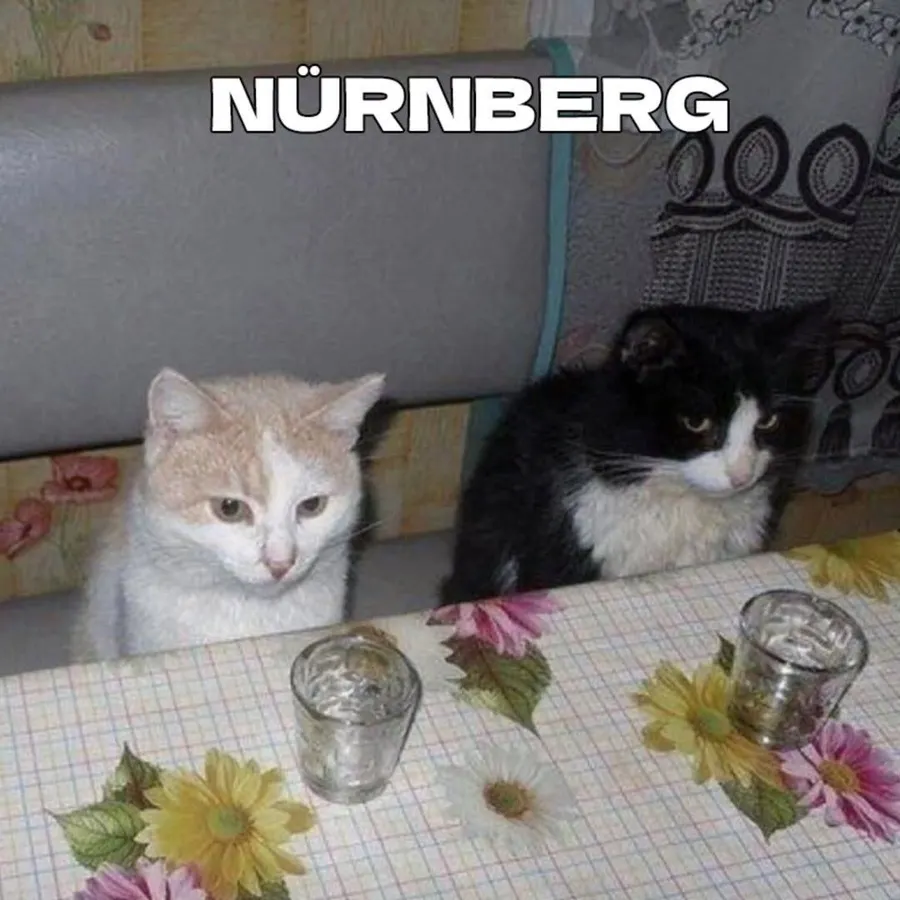 Untitled meme