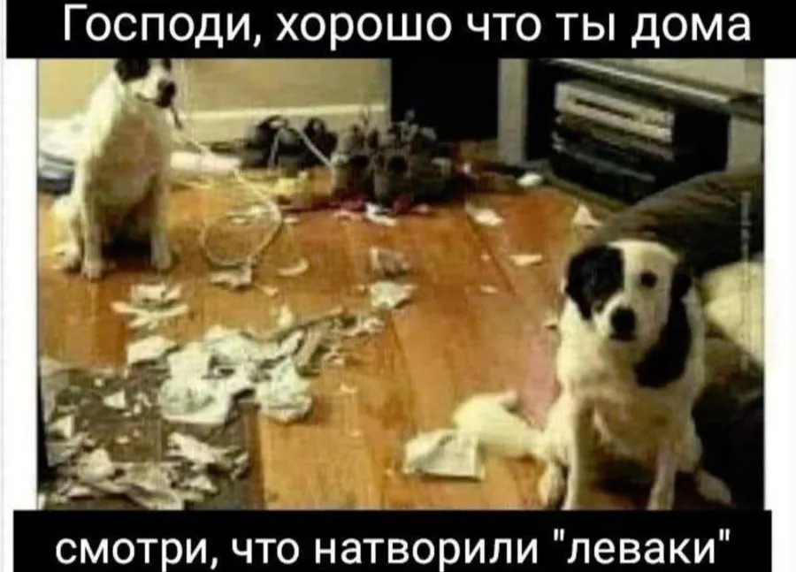 Untitled meme