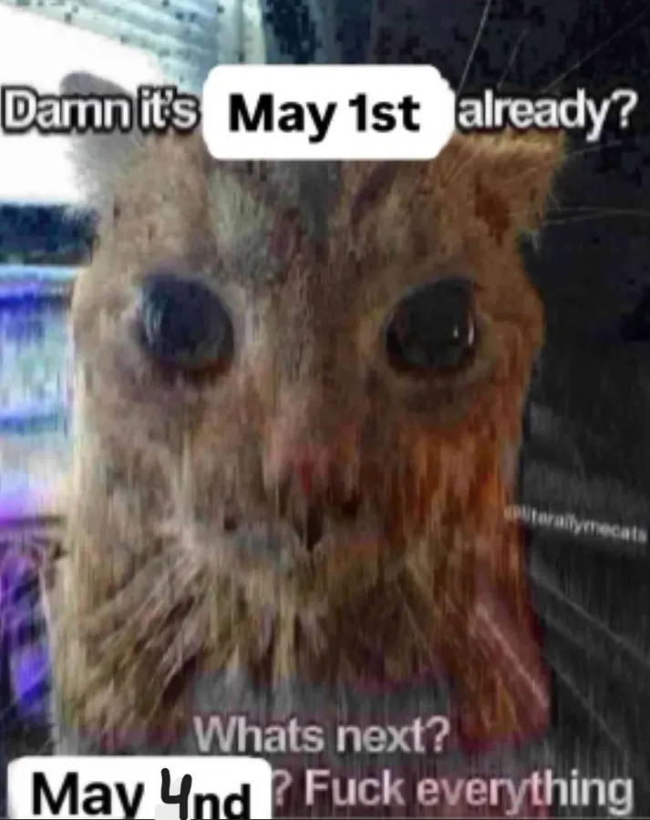 Untitled meme
