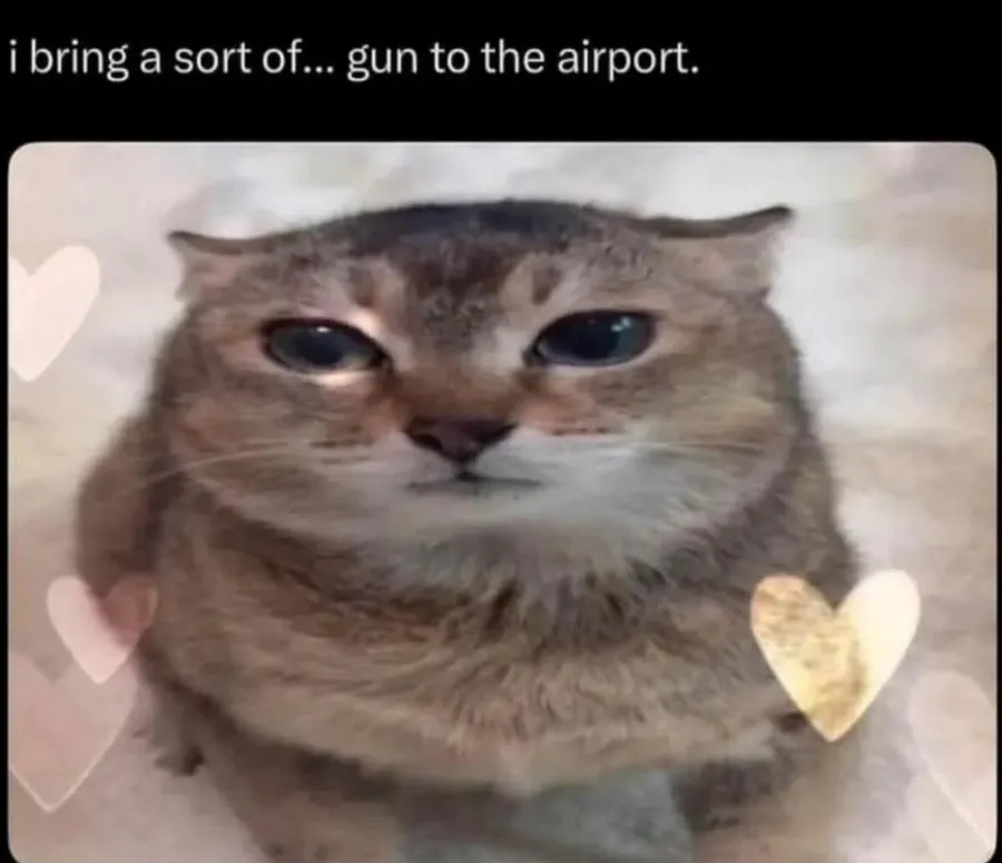 Untitled meme