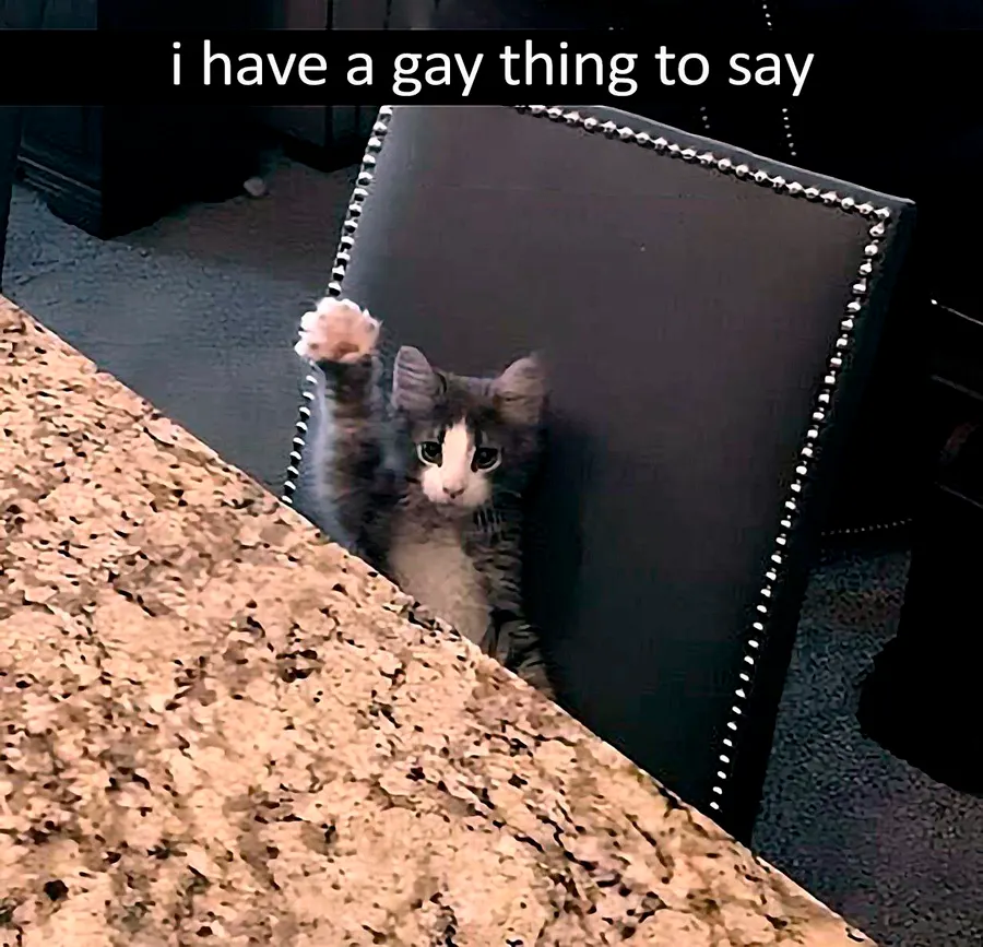 Untitled meme