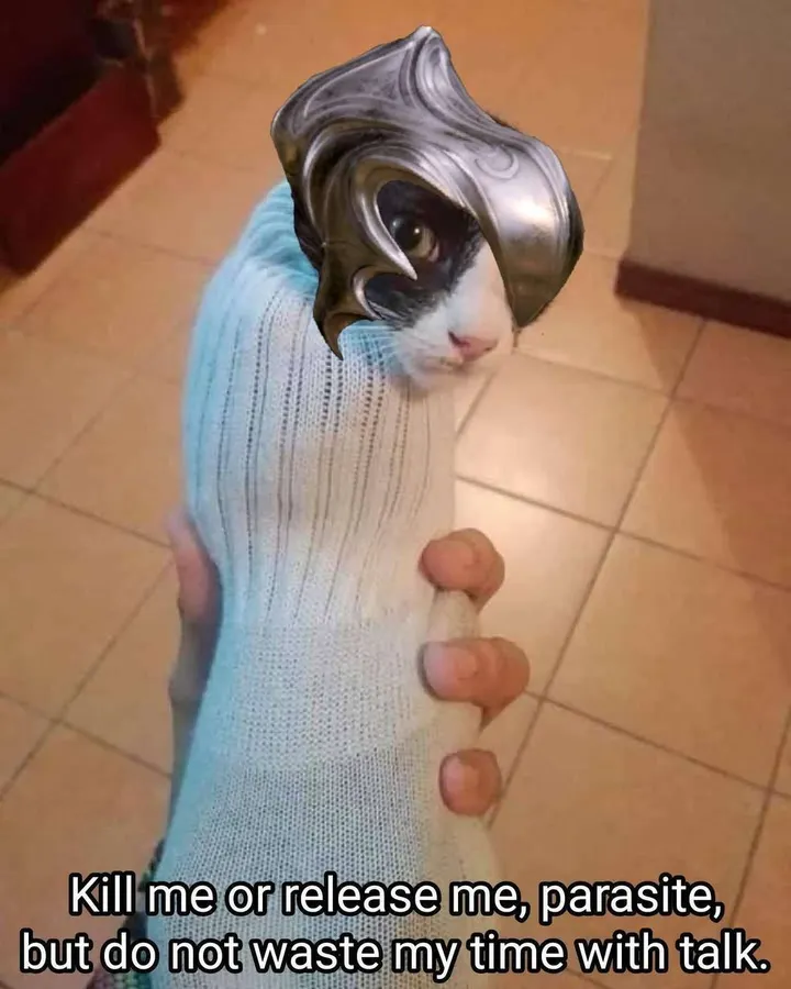 Untitled meme