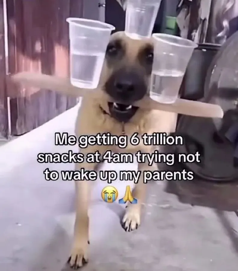 Untitled meme