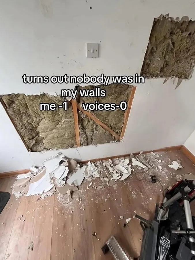 Untitled meme