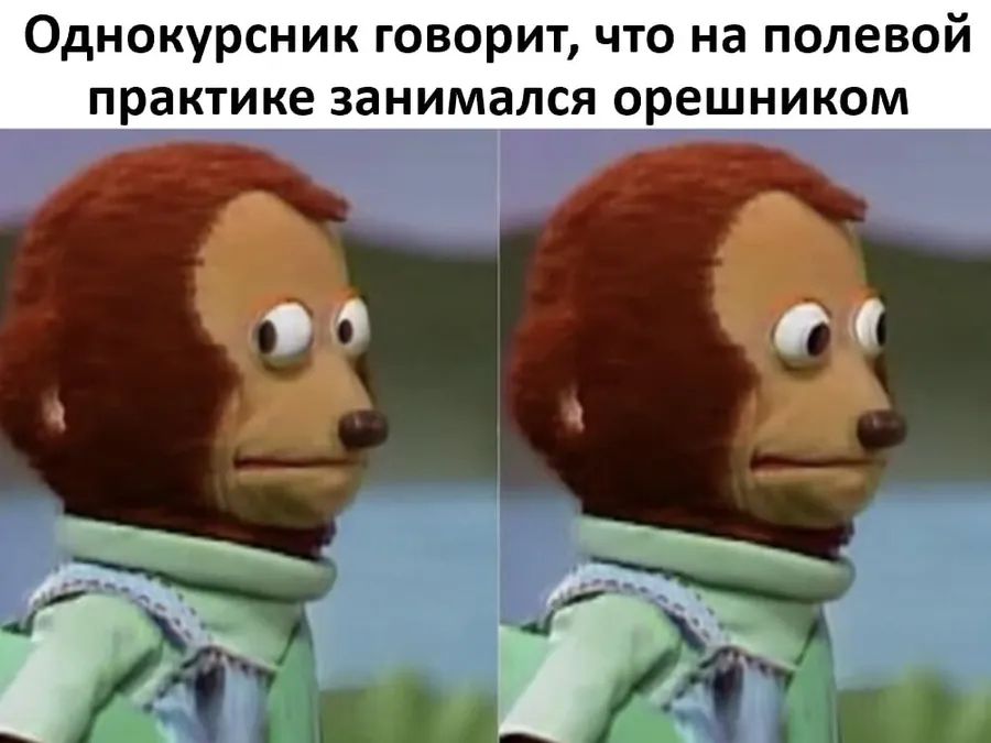 Untitled meme
