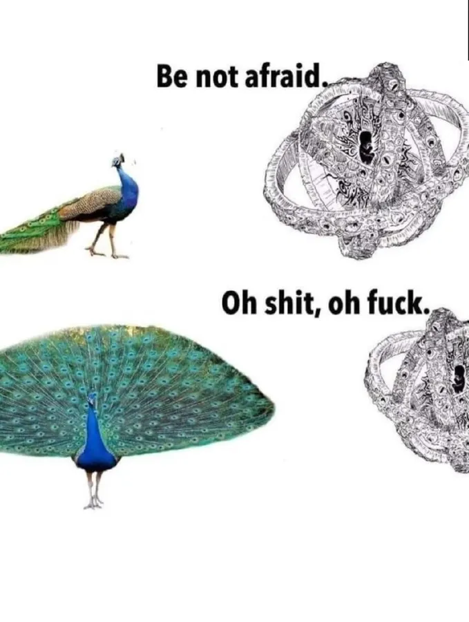 Untitled meme