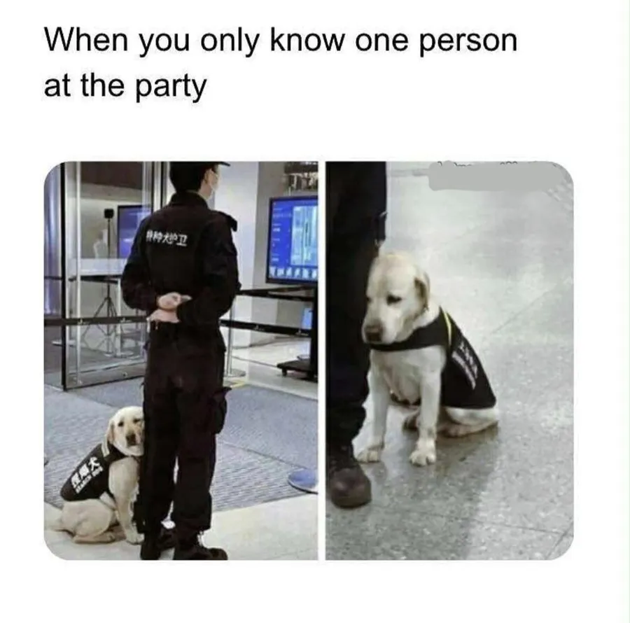 Untitled meme