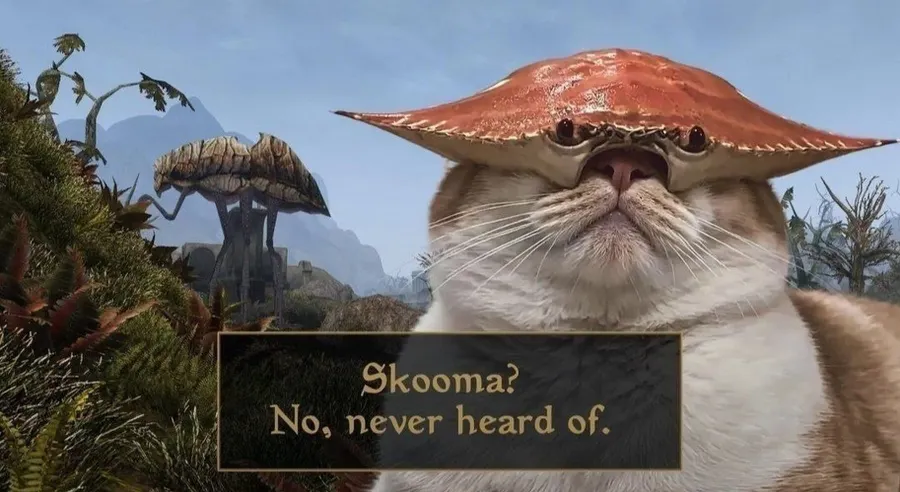 Untitled meme