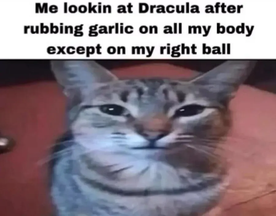 Untitled meme