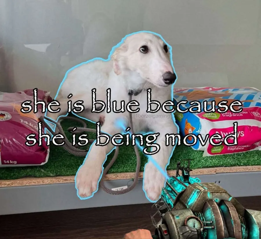 Untitled meme