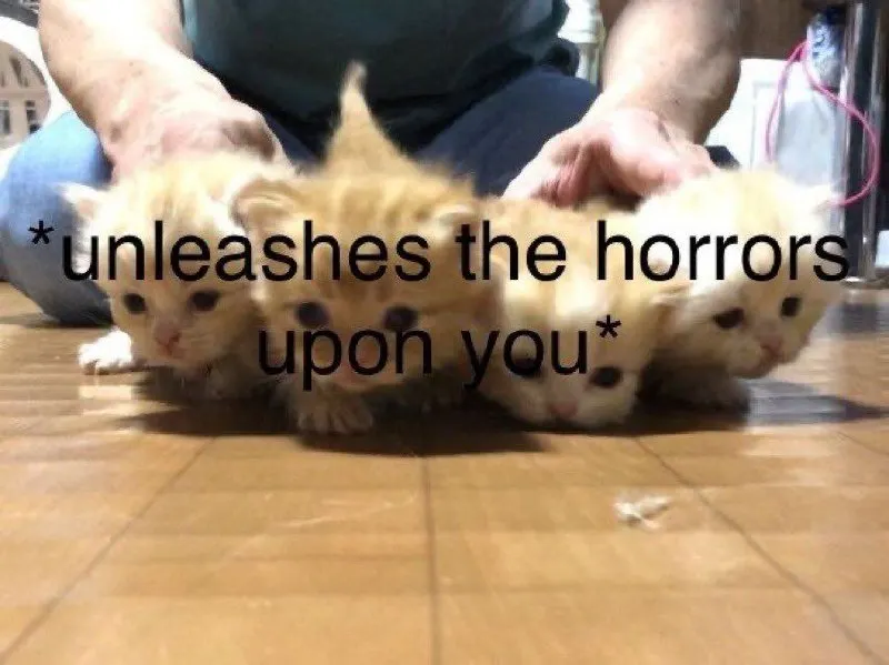 Untitled meme