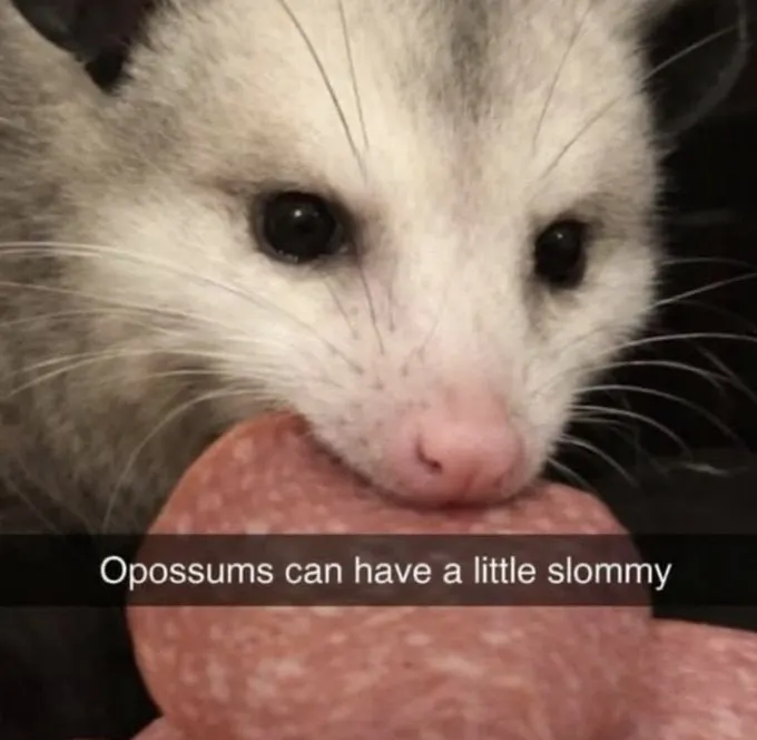 Untitled meme