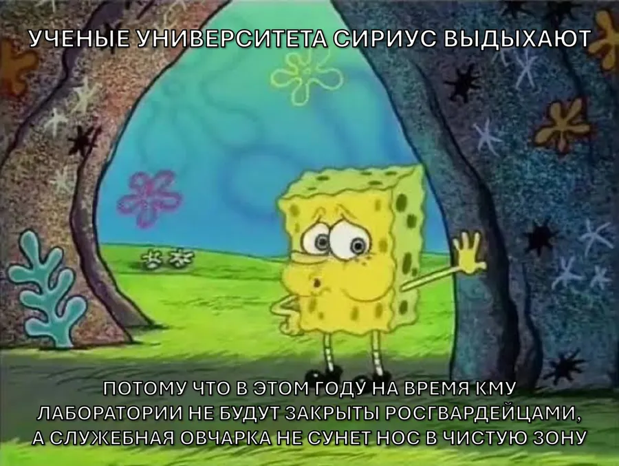 Untitled meme