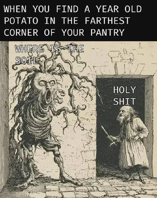Untitled meme