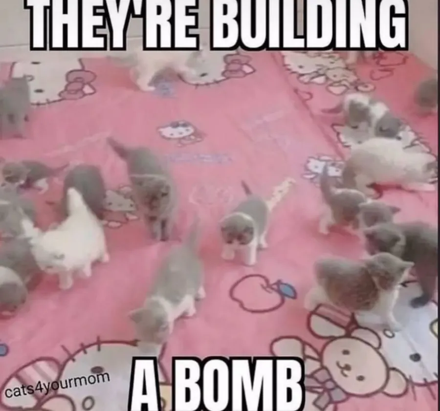 Untitled meme