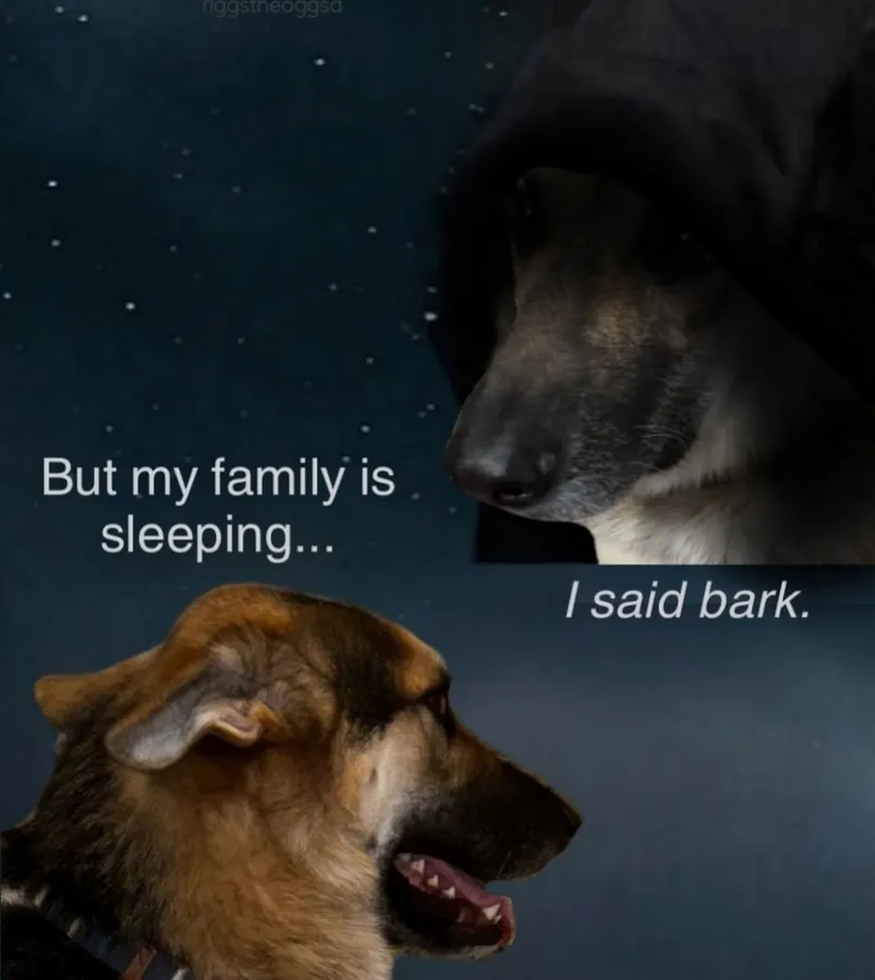 Untitled meme