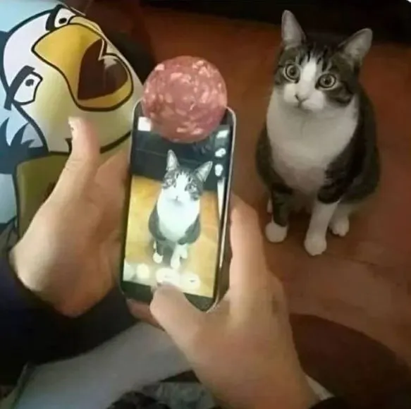 Untitled meme