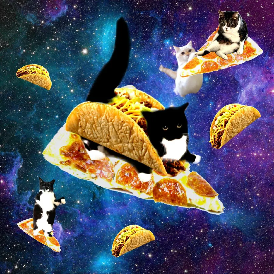 Untitled meme