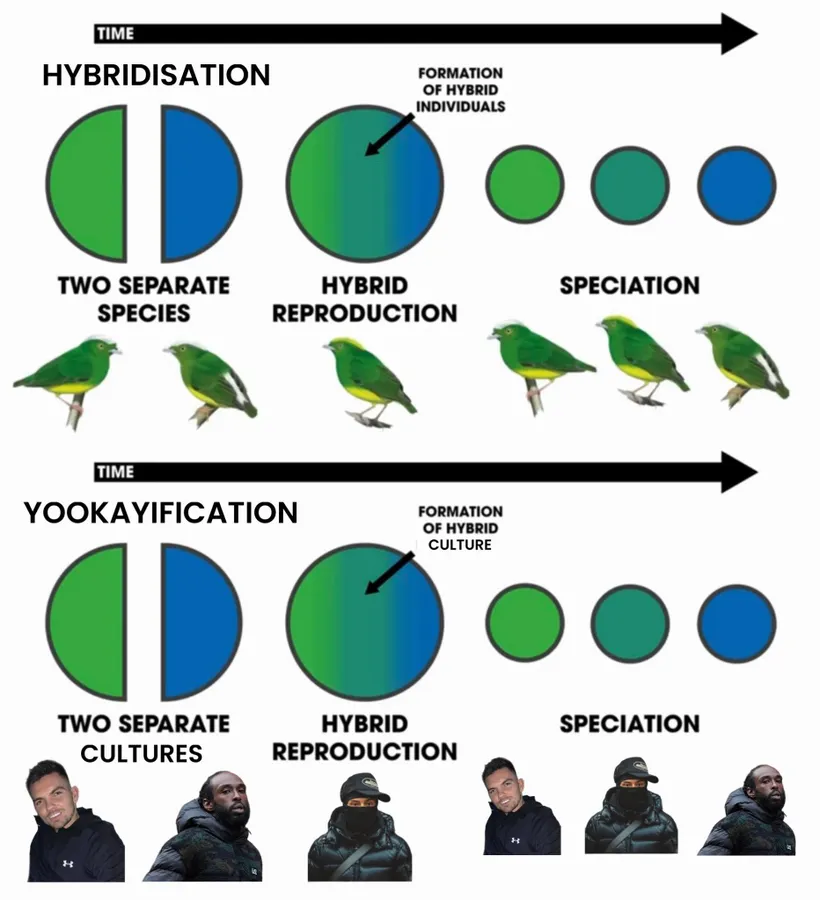 Untitled meme