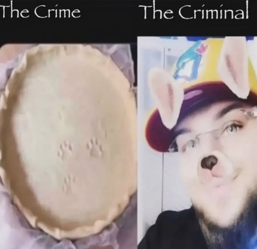 Untitled meme