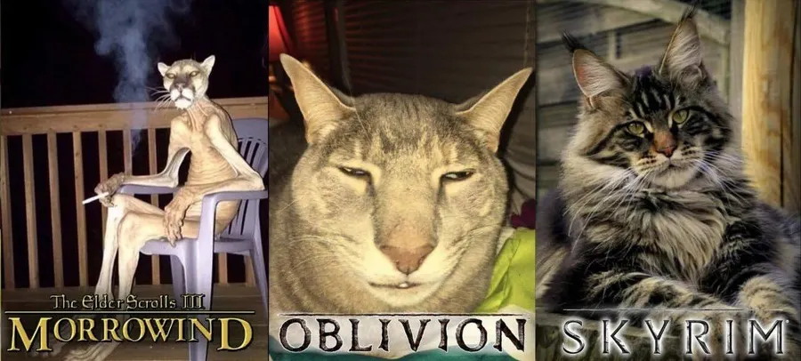 Untitled meme