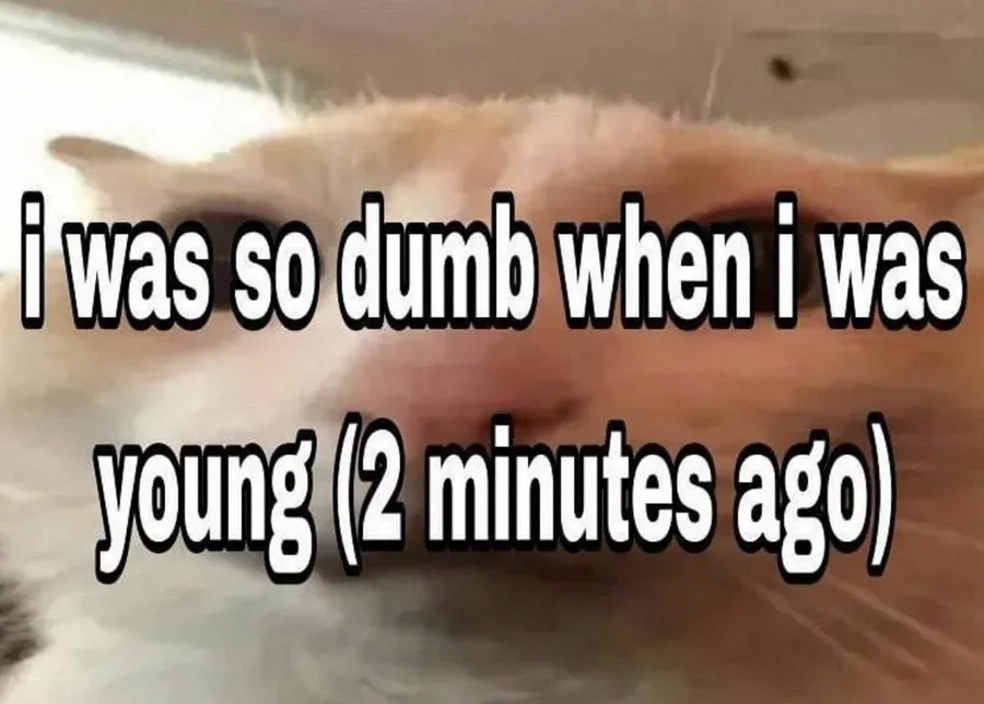 Untitled meme