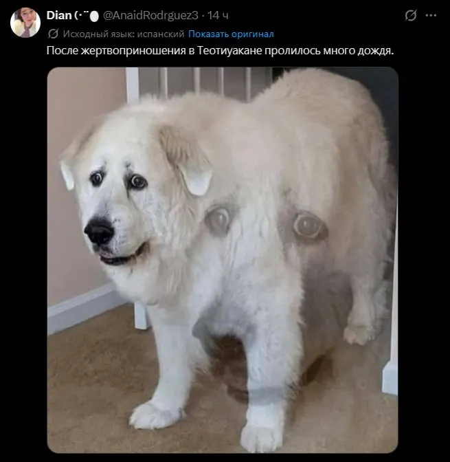 Untitled meme