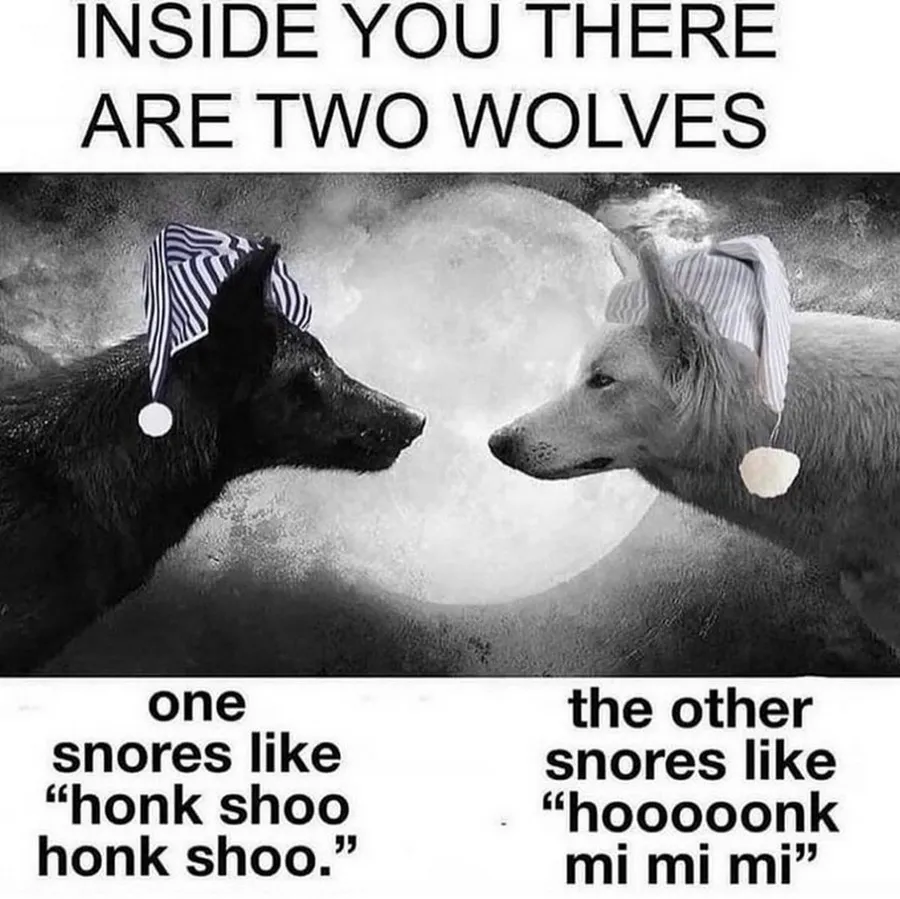Untitled meme