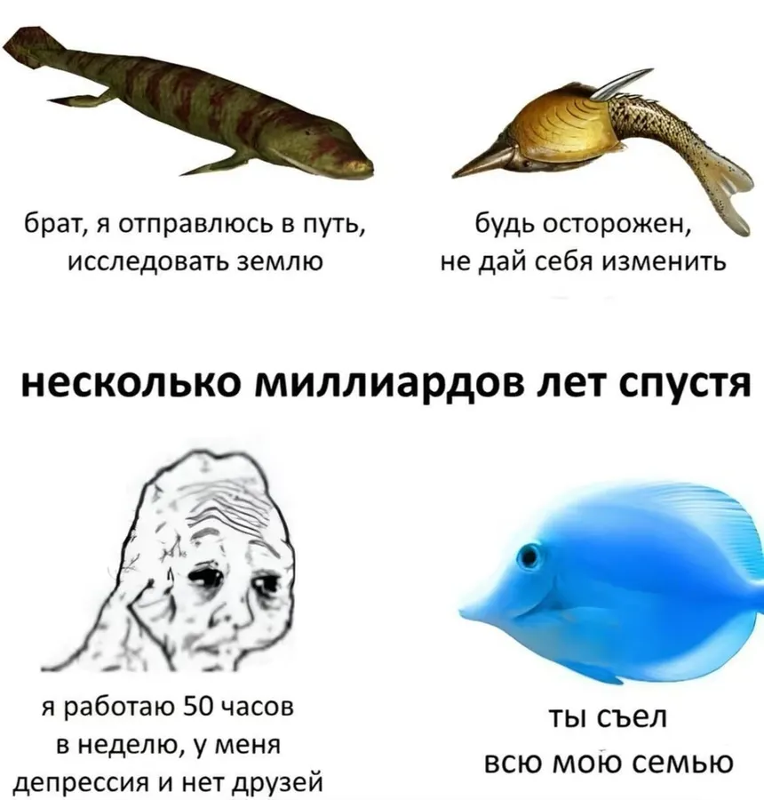 Untitled meme