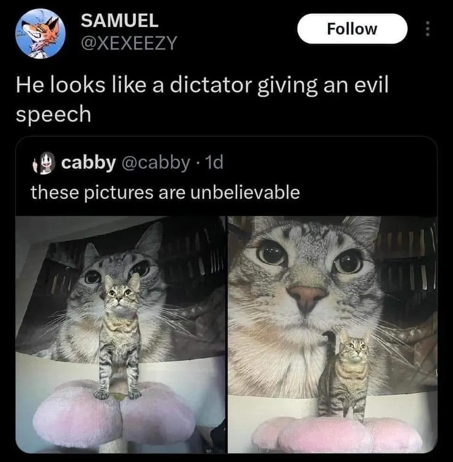 Untitled meme